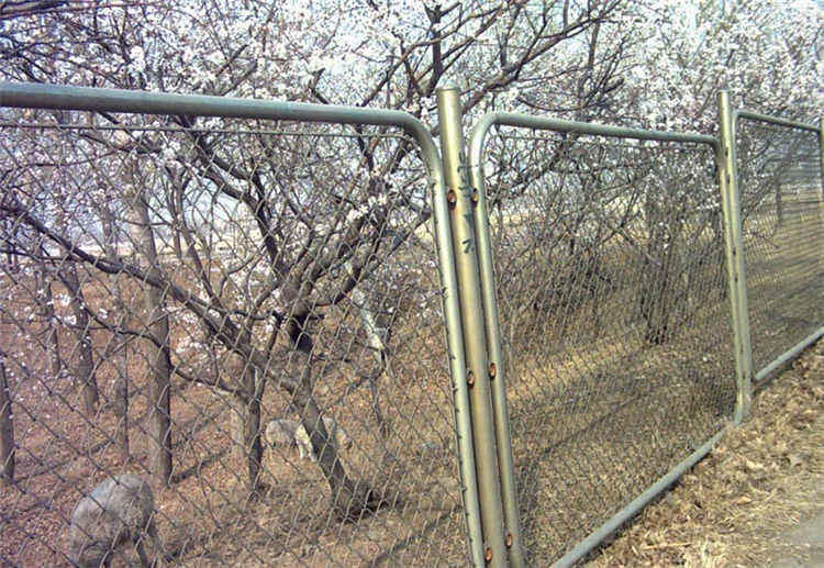 安徽動(dòng)物園隔離網(wǎng)圖片3