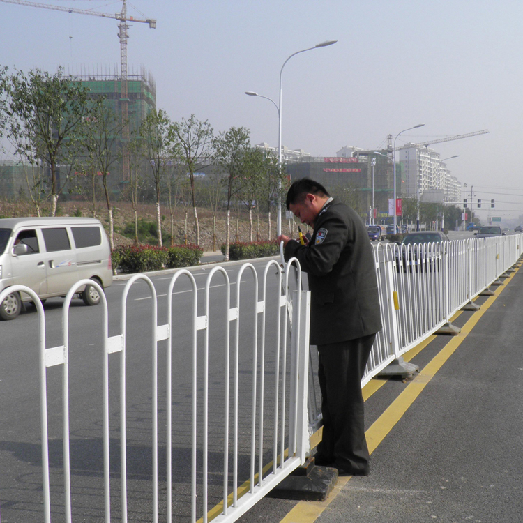 河南市政道路護(hù)欄圖片2