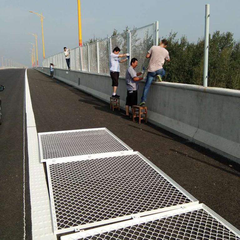 新疆高速公路橋梁防拋物柵欄圖片2
